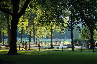 Sheep Meadow in the evening