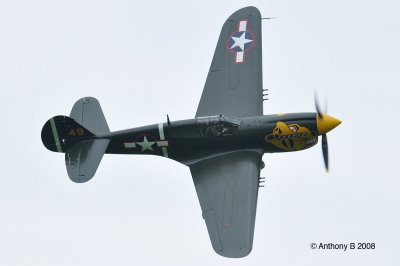 P40 (Teichman) 1200px