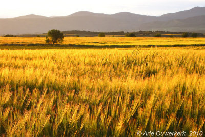 Spain, Catalonia