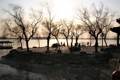 Summer Palace trees