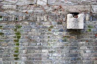 The wall at the pagoda