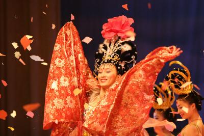 Dinner show performance