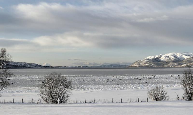 From Senja