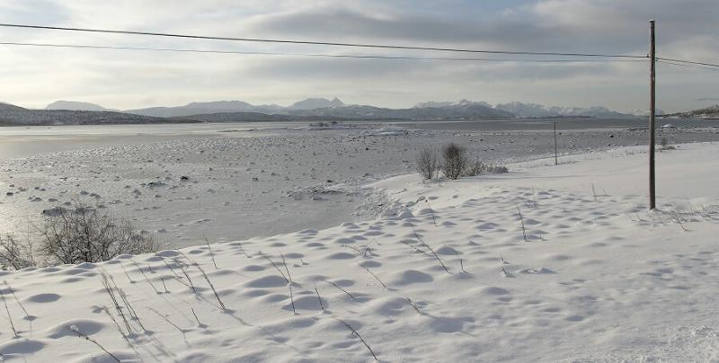 From Senja