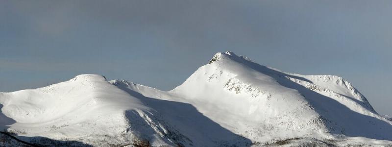 From Senja