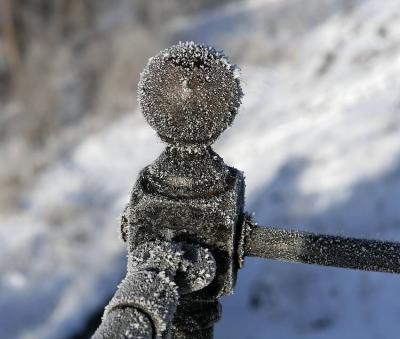 Frozen fence