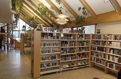 Hammerfest Library