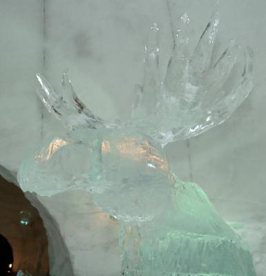 Ice moose