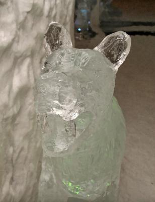 Sculpture of ice