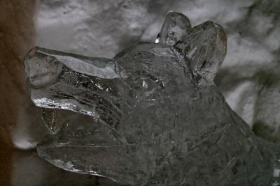Sculpture of ice