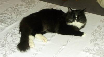 PICT6450.jpg