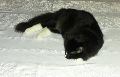 PICT6451.jpg