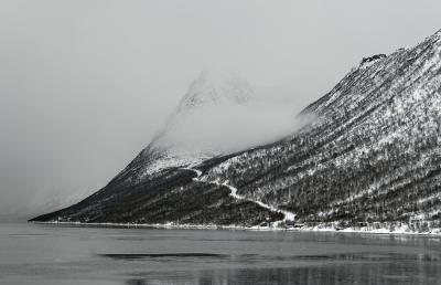 From Senja in Troms