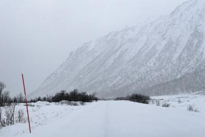 From Senja in Troms