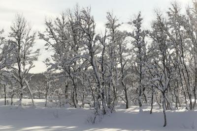 g3/08/634208/3/56654442.IMG_7020_DxO_raw.jpg