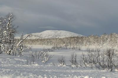 From Senja