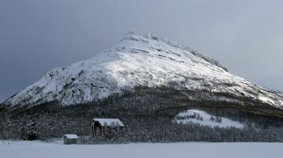 From Troms