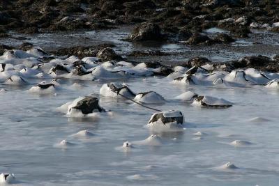 Water and ice