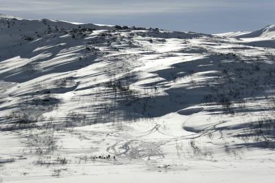 Winter around Brnnysund