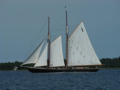 2_8_Bluenose II at Sea.JPG