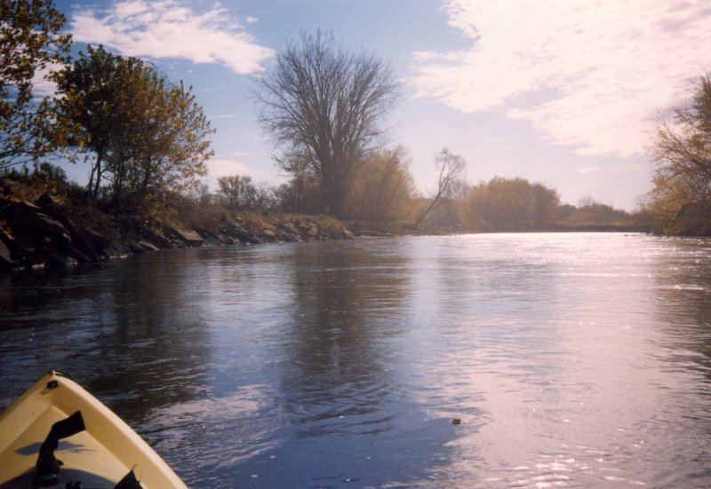 River reflections