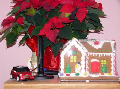 Gingerbread House-Mini-Poinsettia.