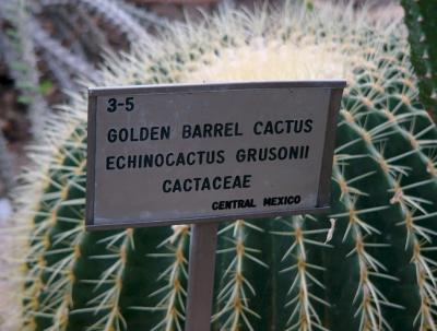 Cactus sign