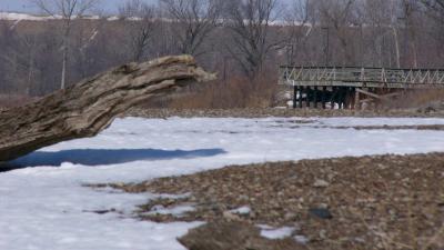 Cottonwood Fishing Pier, with Driftwood