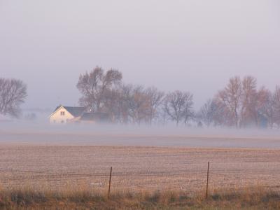 Farm in Mist-Western IA