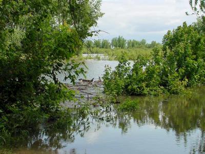 Runnells Access Under Water-Flood of 2001