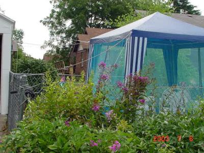 Backyard Gazebo