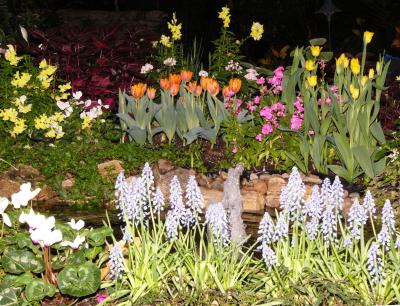 Fountain and flowers