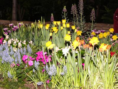 Bright spring assortment