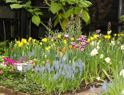Bluebells and tulips and crocuses, oh my