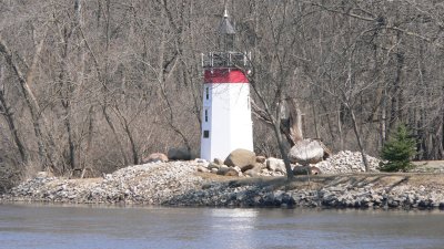 Lighthouse in the woods