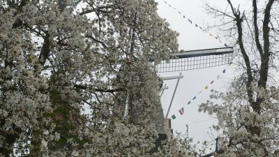 Windmill in white