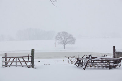 Blizzard - December 19, 2009