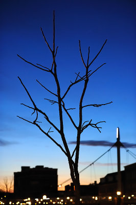 Spring, or still Winter?