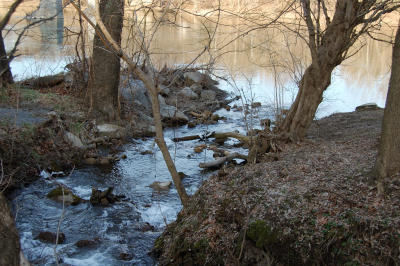 Babbling brook