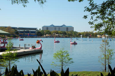 Lake in the center of Sea World