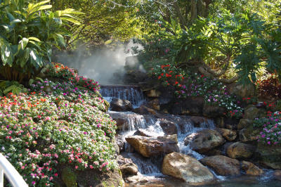 Water garden and falls