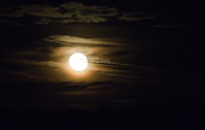Moonlight Feels Right