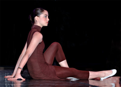 ballet 2007
