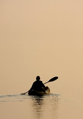 Evening Kayaking In The Sound
