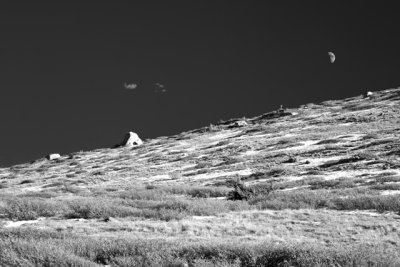 Half Moon Over Colorado High Country