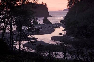 View From Ruby Beach Overlook