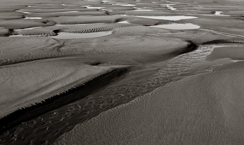 Ebb Tide