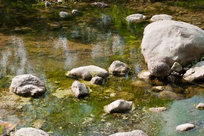 Wag Water River I