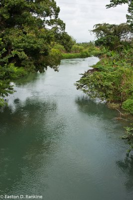 Near the Head of the Black River