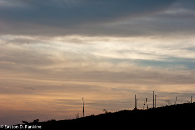 From the Santa Cruz Mountains III